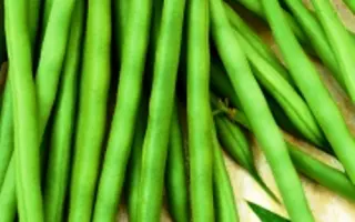 Delfina / Дельфіна