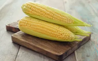 Деликатесная / Делікатесна