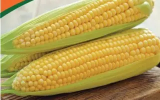 Деликатесная / Делікатесна