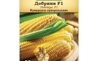 Dobrinya F1 / Добриня F1