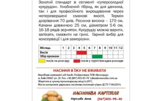 Dobrinya F1 / Добриня F1