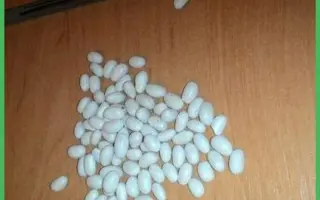 Докучаевская 1 / Докучаєвська