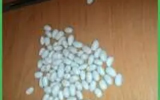 Докучаевская 1 / Докучаєвська