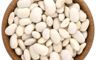 Двадесятица