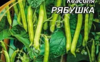 Двадесятица