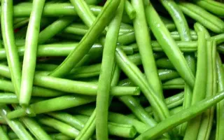 ESCADRON / ЕСКАДРОН