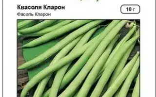 ESCADRON / ЕСКАДРОН