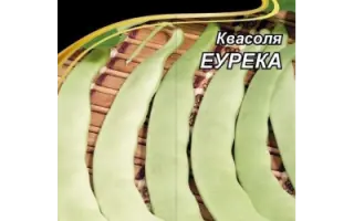 Eureka / Еурека