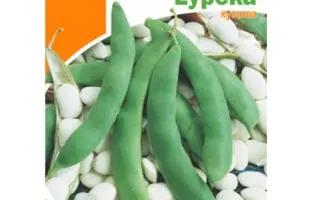 Eureka / Еурека