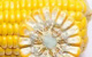 Фиалка / Фіалка