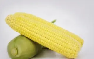 Fragman / Фрагман