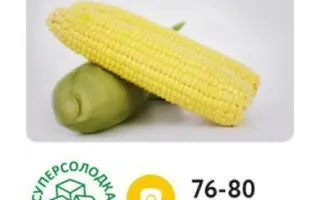 Fragman / Фрагман