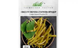 Fruidor / Фруідор