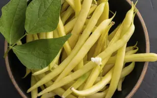 Fruidor / Фруідор