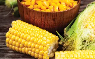 GSS3071 / ГСС3071