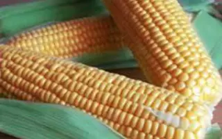 GSS 1477 F1 / ГСС 1477 F1