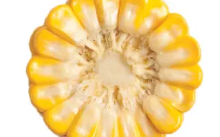 GSS 8529 F1 / ГСС 8529 F1