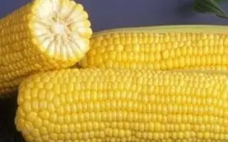 GX 6462 F1 / ГХ 6462 F1