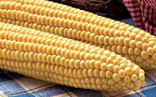 Garrison F1 / Гаррісон F1