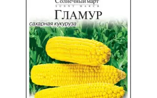 Гламур