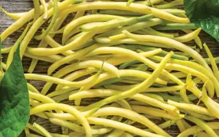 Golden Goal / Голден Гол