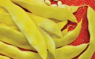 Goldstrike / Голдстрайк