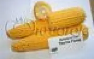 Harvest Gold F1 / Харвест Голд F1