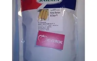 Honey Bantam 83 / Хані Бентем 83