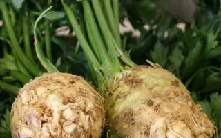 Иванко / Іванко