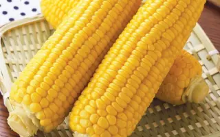 Jubilee F1 / Джубілі F1