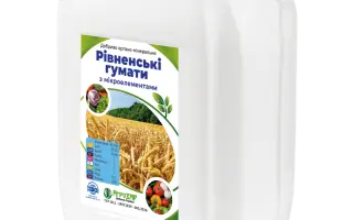 Рівненські мікроелементи