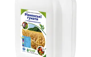 РИВНЕНСЬКІ ГУМАТИ З МІКРОЕЛЕМЕНТАМИ