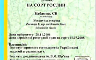 Кабанець СВ