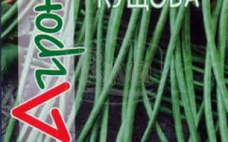 Харьковская 8 / Харківська 8