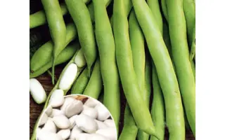 Харьковская 8 / Харківська 8