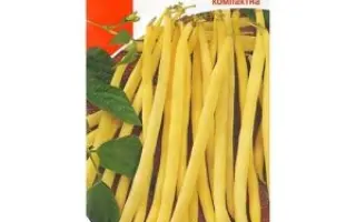 Харьковская штамбовая / Харківська штамбова