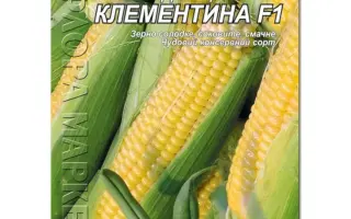 Кліментіна