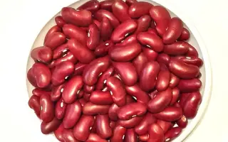 Красноградская 5 / Красноградська 5