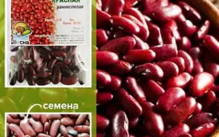 Красноградская 5 / Красноградська 5