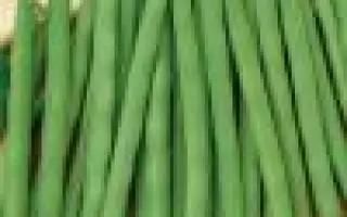 Kylian / Киліан