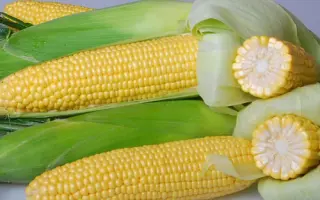 Landmark F1 / Лендмарк F1