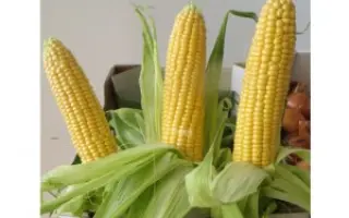 Landmark F1 / Лендмарк F1