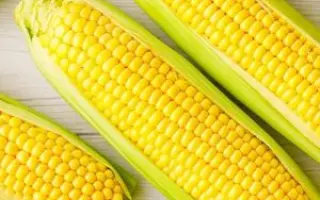 Ласуня одеська