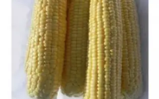 Legacy F1 / Легасі F1