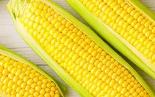 Legend F1 / Леженд F1