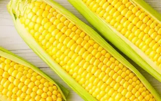 Legend F1 / Леженд F1