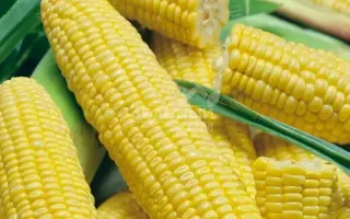 Lumina F1 / Люміна F1