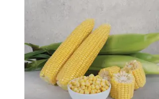 Macaron / Макарон