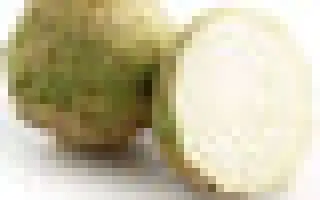 Markiz / Маркіз