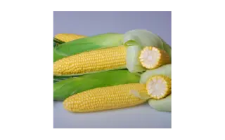 Martha F1 / Марта F1